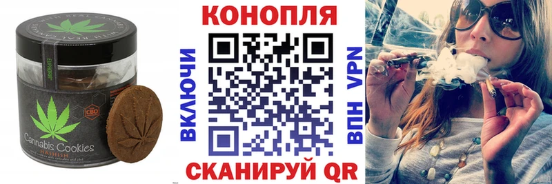 закладки  Макаров  Cannafood конопля 