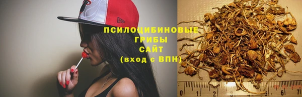 MDMA Premium VHQ Красноперекопск