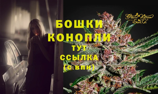 гашик Краснослободск