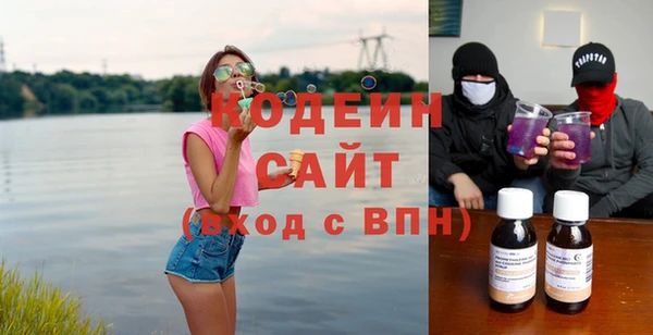 гашик Краснослободск