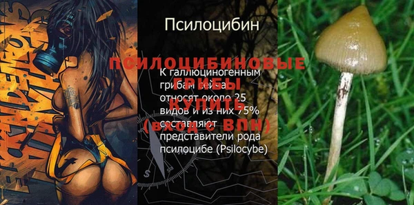 кристаллы Богданович