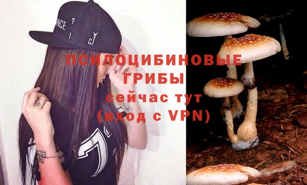 МДПВ Краснотурьинск