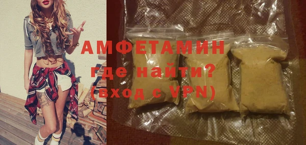 гашик Краснослободск