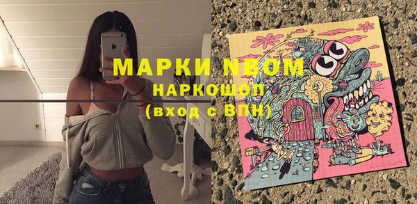 гашик Краснослободск