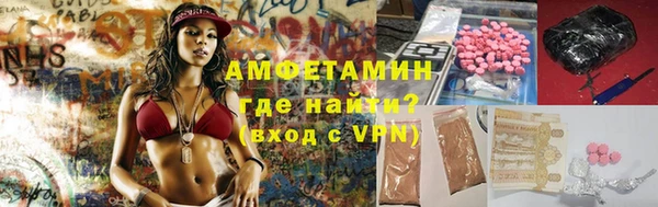 гашик Краснослободск